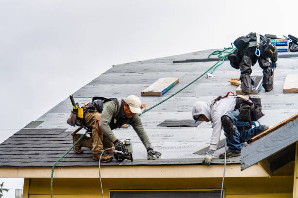 Professional Roofing technician working in Norfolk, MA